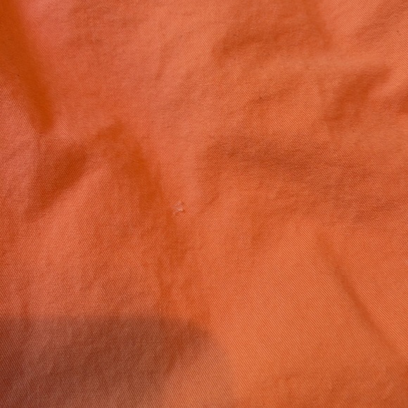 💙 American Eagle Prep Shorts - Picture 5 of 5